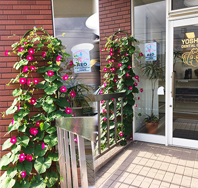 青森県三沢市のよしだ歯科医院内の子供コーナー用のスタッフ手作りの紙飾りです。院内には子供用コーナーがあり、お子様連れでも安心して治療ができます。